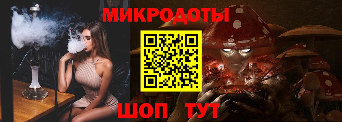 Галлюциногенные грибы Psilocybine cubensis Тимашёвск